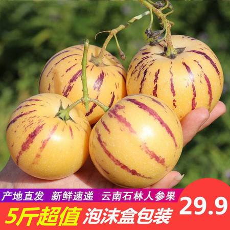云南石林人参果 当季新鲜黄肉圆果，整箱批发包邮到家