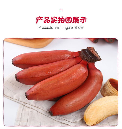 福建土楼特产——美人蕉红香蕉 营养与商机并蓄的新鲜水果佳品